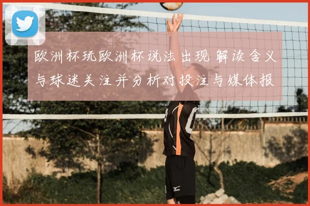 欧洲杯玩欧洲杯说法出现 解读含义与球迷关注并分析对投注与媒体报道影响