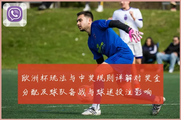 欧洲杯玩法与中奖规则详解对奖金分配及球队备战与球迷投注影响